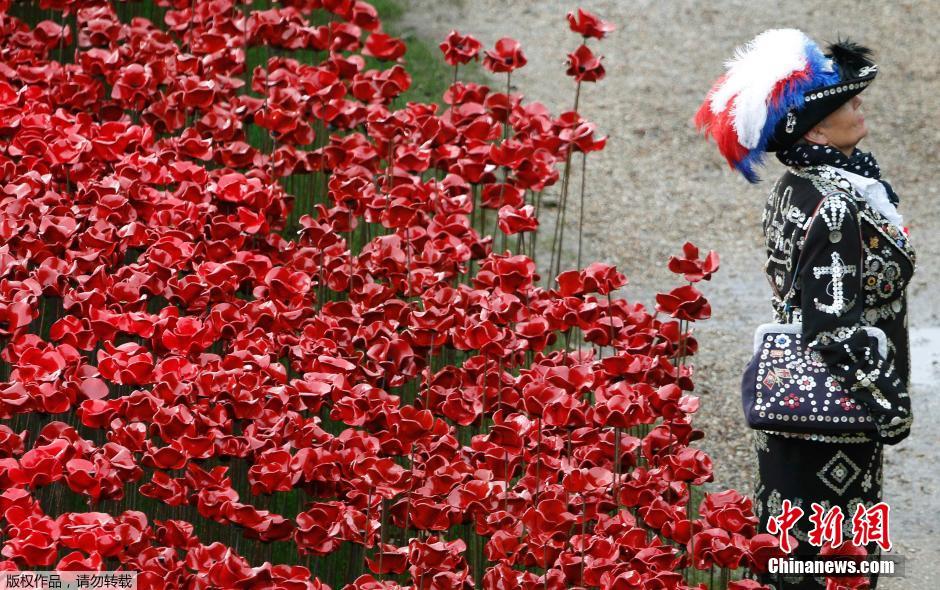 當(dāng)?shù)貢r(shí)間2014年11月10日，英國(guó)倫敦，倫敦塔周邊“種植”了888246朵陶瓷材質(zhì)的罌粟花，以此紀(jì)