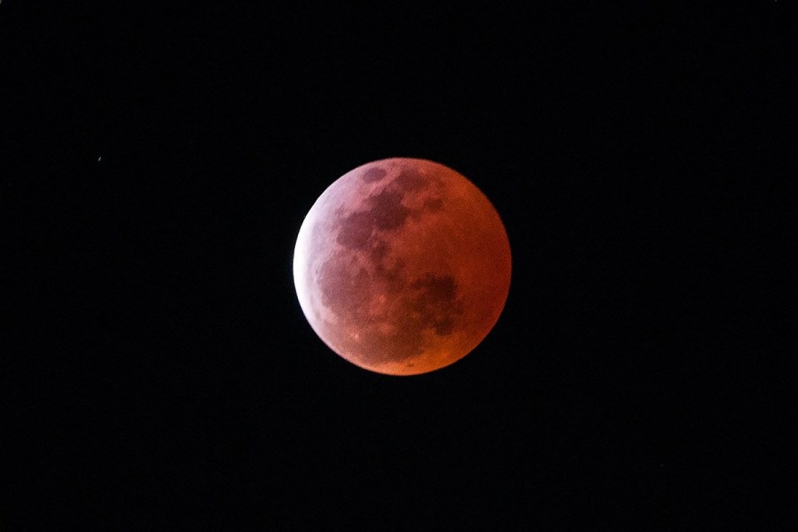 4月4日，福州上空出現(xiàn)紅月亮。楊婀娜/CFP