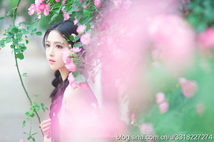 民航大學(xué)最美?；ㄋ秸掌毓? width=