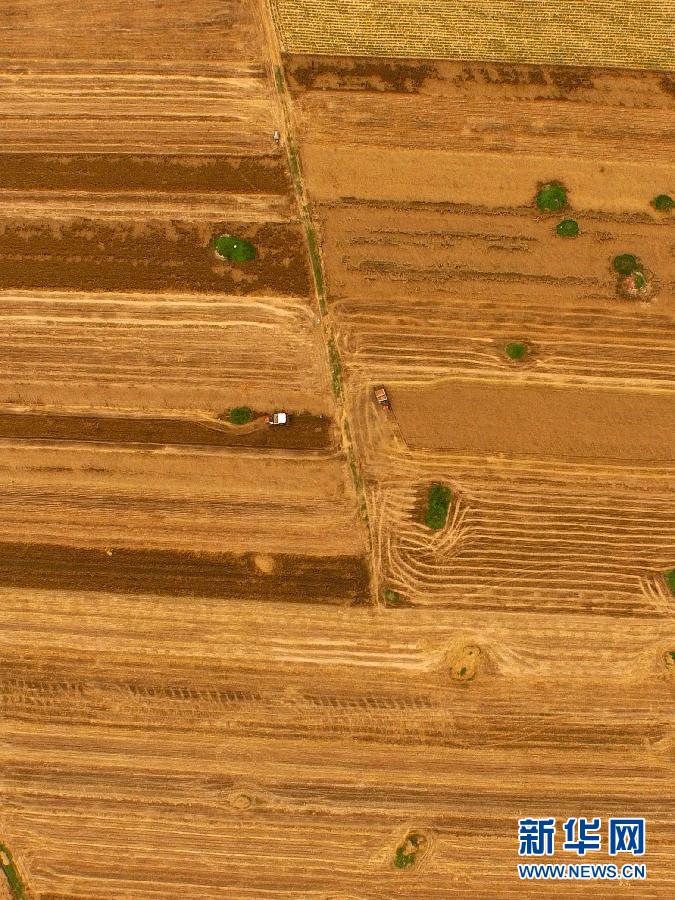 這是5月28日在河南省南陽(yáng)市唐河縣甘河灣村航拍的麥?zhǔn)宅F(xiàn)場(chǎng)。