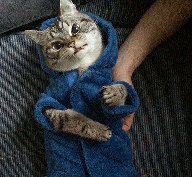 身穿浴袍的Loki好像看起來(lái)也沒(méi)那么兇哦。