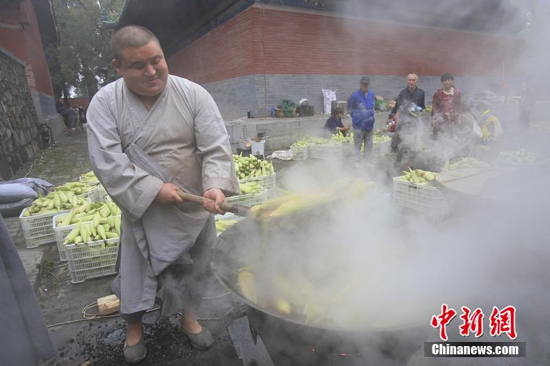 少林禪耕農(nóng)場迎來秋收 免費煮玉米送游客 少林禪耕農(nóng)場迎來秋收 免費煮玉米送游客