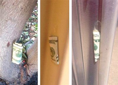 “隱藏的鈔票”會(huì)被神秘人藏在公園、廁所等“奇怪的地方”。