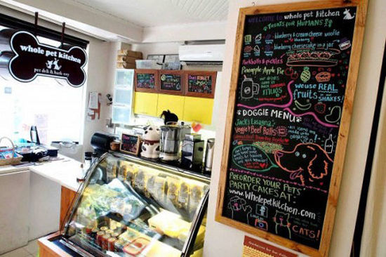 菲律賓另類咖啡館為寵物狗設(shè)菜單 鼓勵人狗同桌進餐(圖)