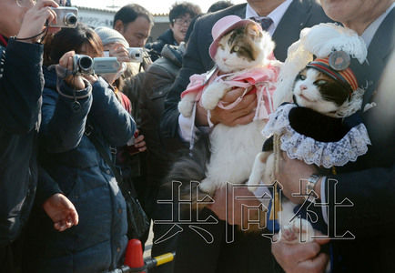 圖為粉絲們簇擁著“阿玉”站長（右）。左側為其部下“二玉”。