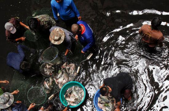 泰國當局派人到商場底部捕魚（圖片來源網(wǎng)絡）