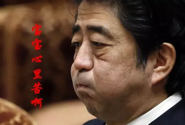 這種看安倍“熱鬧”的事兒，環(huán)環(huán)絕不私藏，一定雨露均沾!