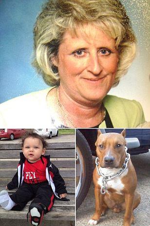 美國(guó)老太被自家狗咬死 2歲外孫目擊全過程(圖)