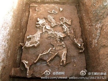 墓穴現(xiàn)場 墓穴現(xiàn)場