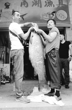 男子湖中釣起70斤大青魚(yú) 折騰2小時(shí)才把魚(yú)捕上船