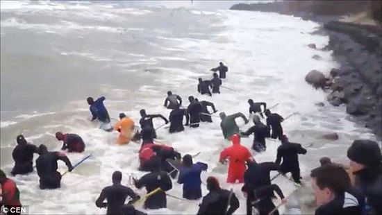 一場暴雨后，俄羅斯加里寧格勒Pionersky鎮(zhèn)，數(shù)十人潛入海水中搜尋琥珀。