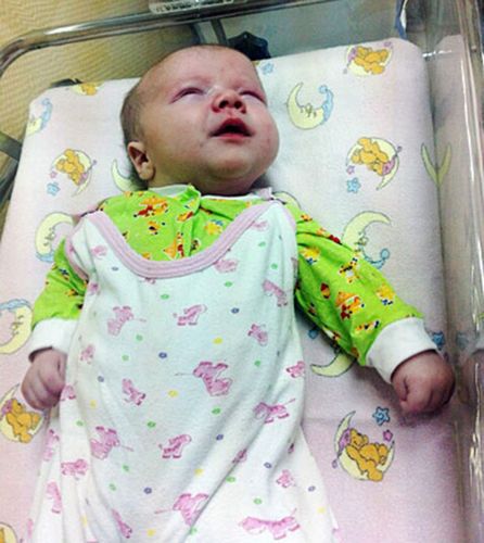 居民認(rèn)為，如果沒(méi)有這只貓的照料，寶寶可能沒(méi)有機(jī)會(huì)活下來(lái)。