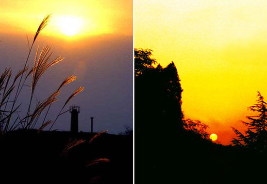 夕陽(yáng)無(wú)限好 西安不可錯(cuò)過的夕照勝景地