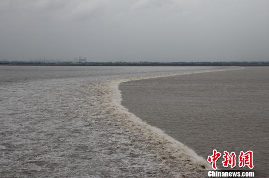 近四年來最大的農(nóng)歷八月十八錢塘潮如約而至抵達(dá)浙江省海寧鹽官 近四年來最大的農(nóng)歷八月十八錢塘潮如約而至抵達(dá)浙江省海寧鹽官