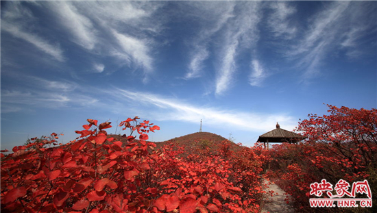 青天河景區(qū)空氣負(fù)離子濃度超高 是天然大氧吧 青天河景區(qū)空氣負(fù)離子濃度超高 是天然大氧吧