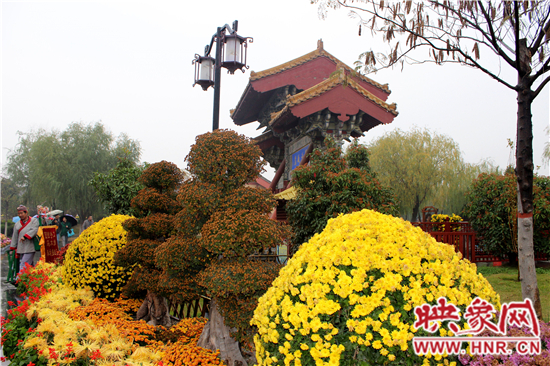 天好、花美 中國(guó)開封第32屆菊花文化節(jié)延長(zhǎng)一周