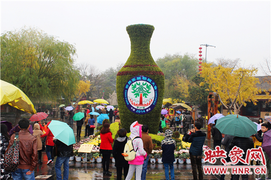 天好、花美 中國(guó)開封第32屆菊花文化節(jié)延長(zhǎng)一周