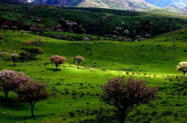 不用花錢(qián)的中國(guó)好景色 國(guó)內(nèi)8個(gè)處女風(fēng)景地