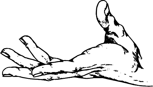 　時(shí)間：拿到通知書(shū)，未報(bào)到就可申請(qǐng)