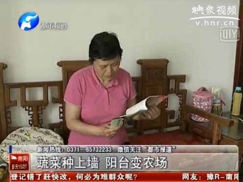 蔬菜種上墻 陽(yáng)臺(tái)變農(nóng)場(chǎng)