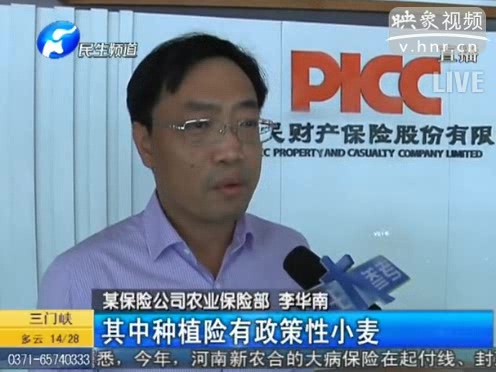 冰雹惹禍 損失能索賠嗎？